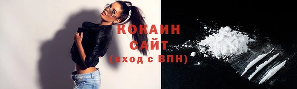 эйфоретик Бородино