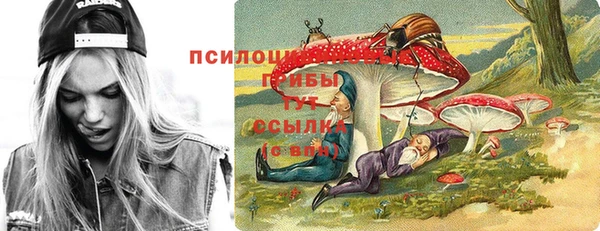 герыч Бронницы