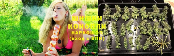 эйфоретик Бородино