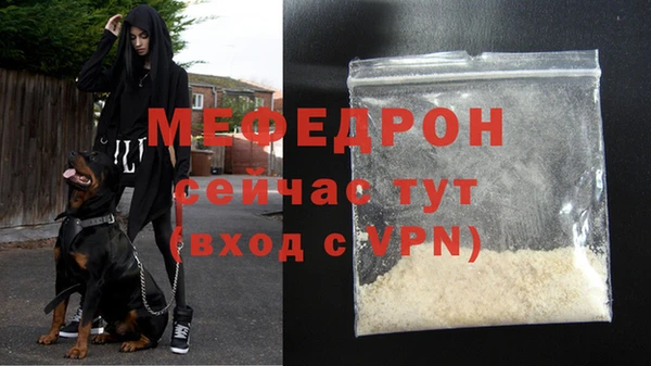 стаф Богородск