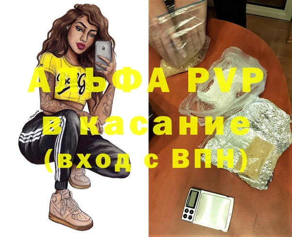 эйфоретик Бородино